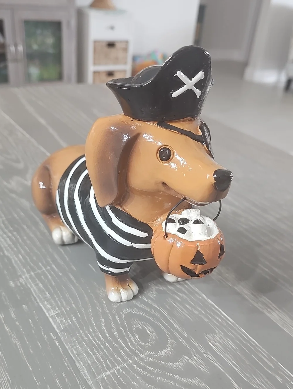 New! Halloween Pirate Costume Dachshund Dog with Trick Or Treat Pumpkin